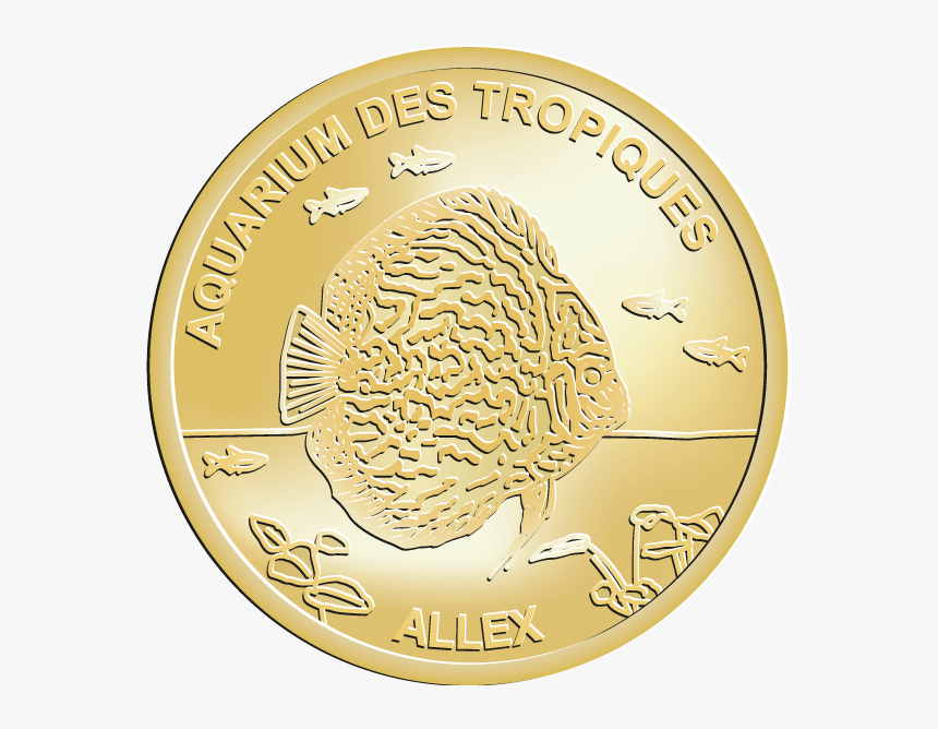 Nemesis 25 Alton Towers, HD Png Download