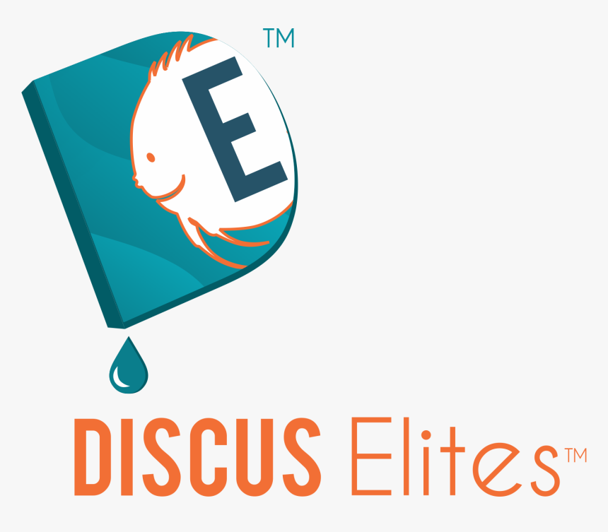 Logo - Graphic Design, HD Png Download