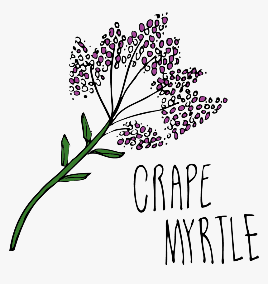 Jana Miller Drawings - Floral Design, HD Png Download