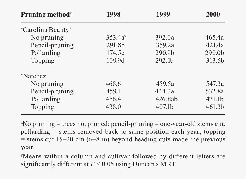 Screenshot, HD Png Download