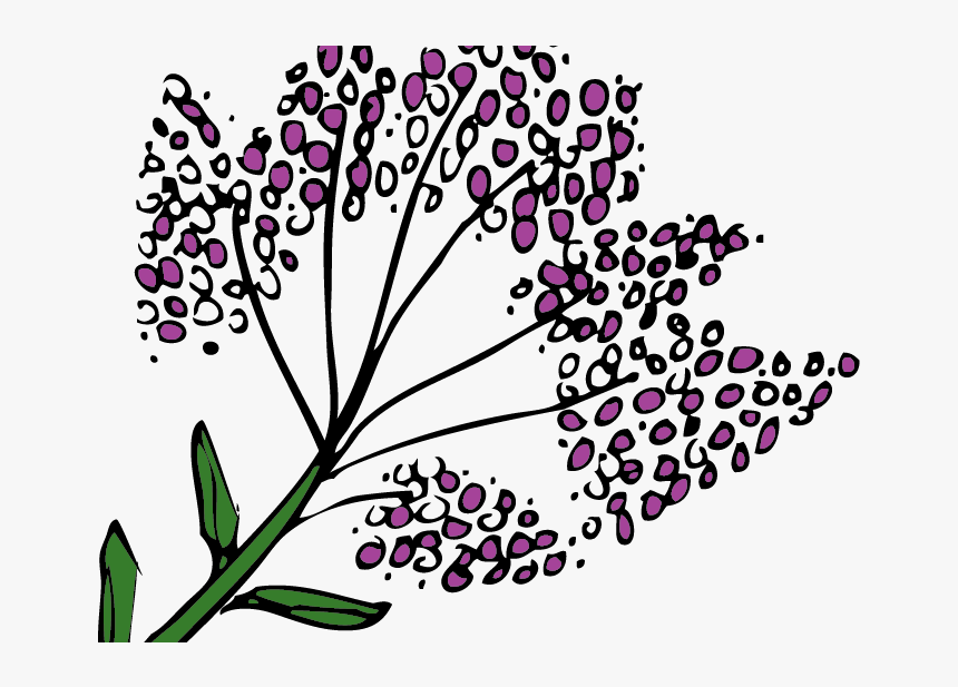 Jana Miller Drawings, HD Png Download