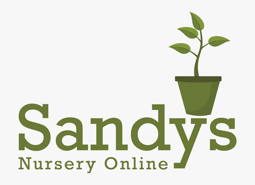 Sandys Nursery Online - Flowerpot, HD Png Download