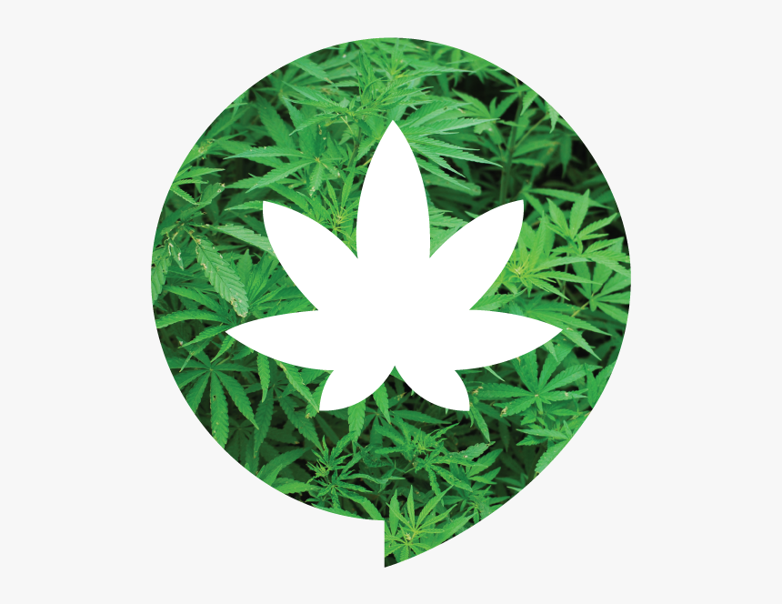 Smoke Network, HD Png Download