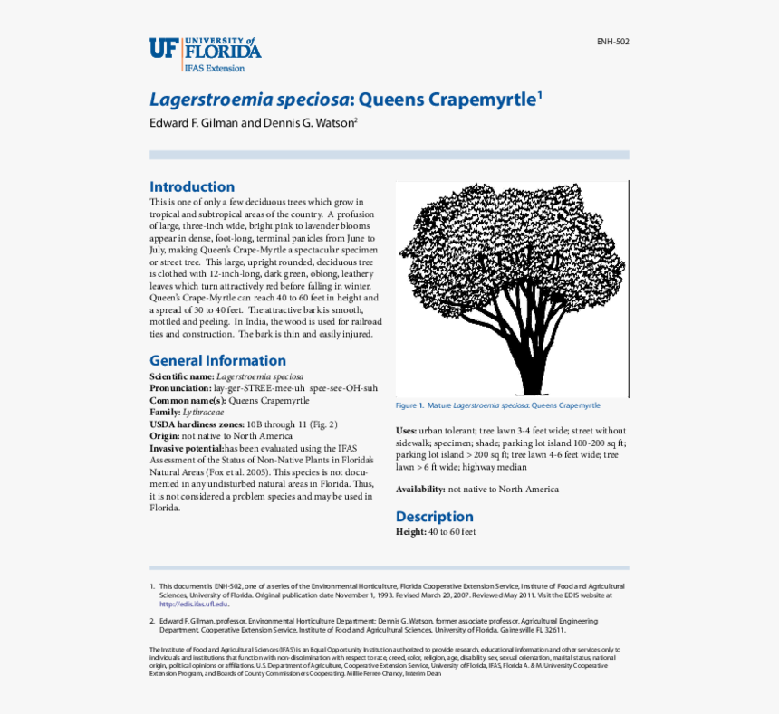 University Of Florida, HD Png Download