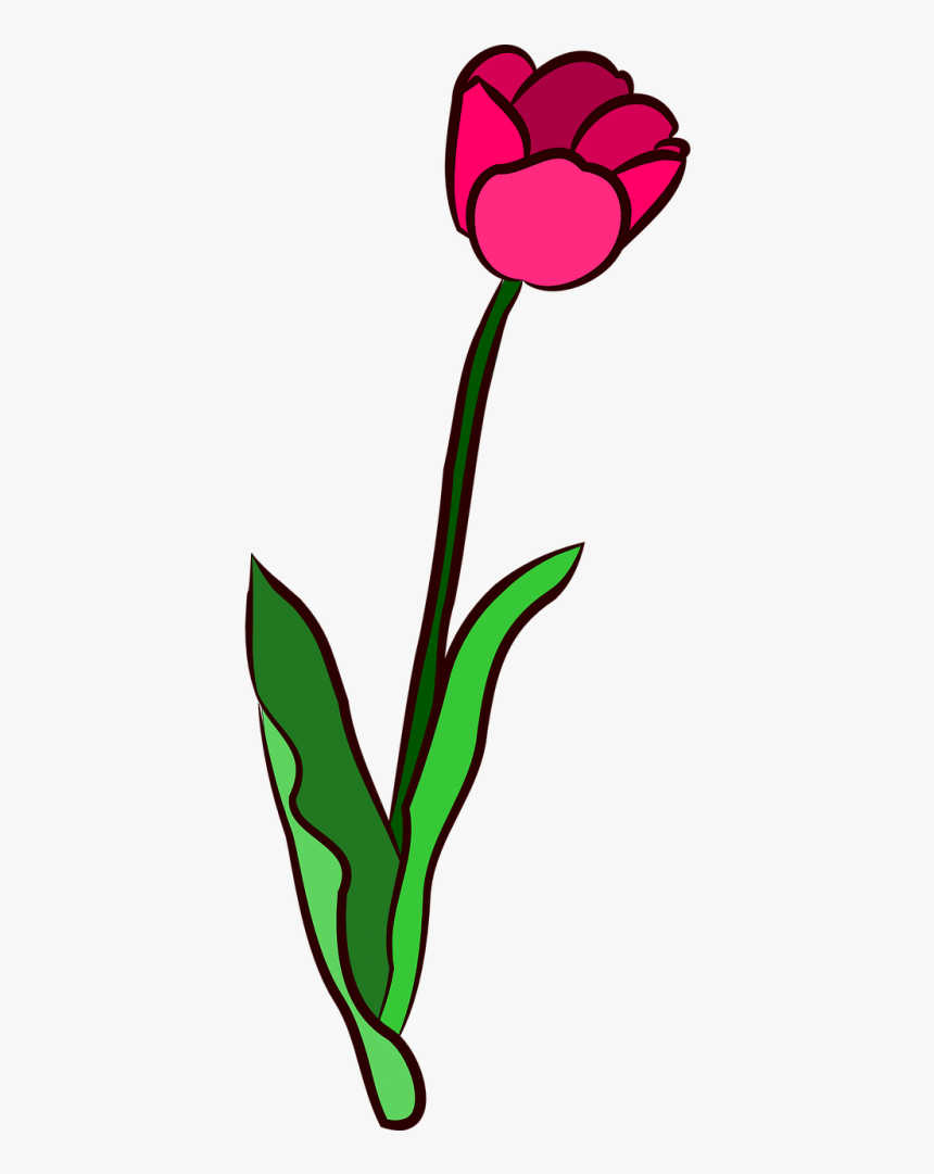 Vector Graphics Clipart , Png Download, Transparent Png