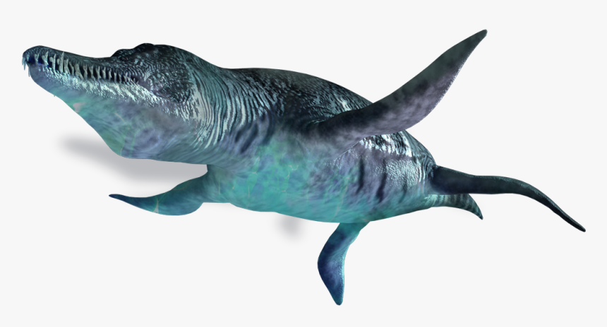 Download Ichthyosaur Png Photo - Liopleurodon Png, Transparent Png
