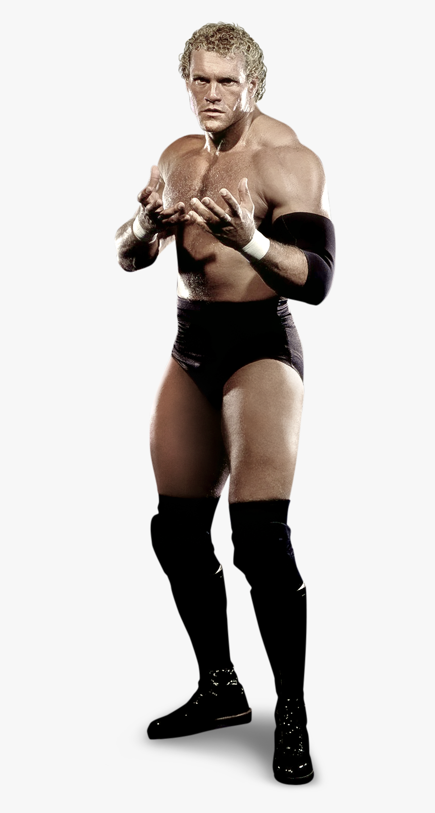 Sycho Sid Wwe, HD Png Download