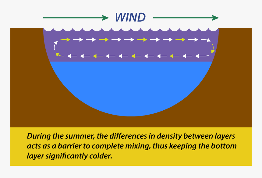 Graphic Design, HD Png Download