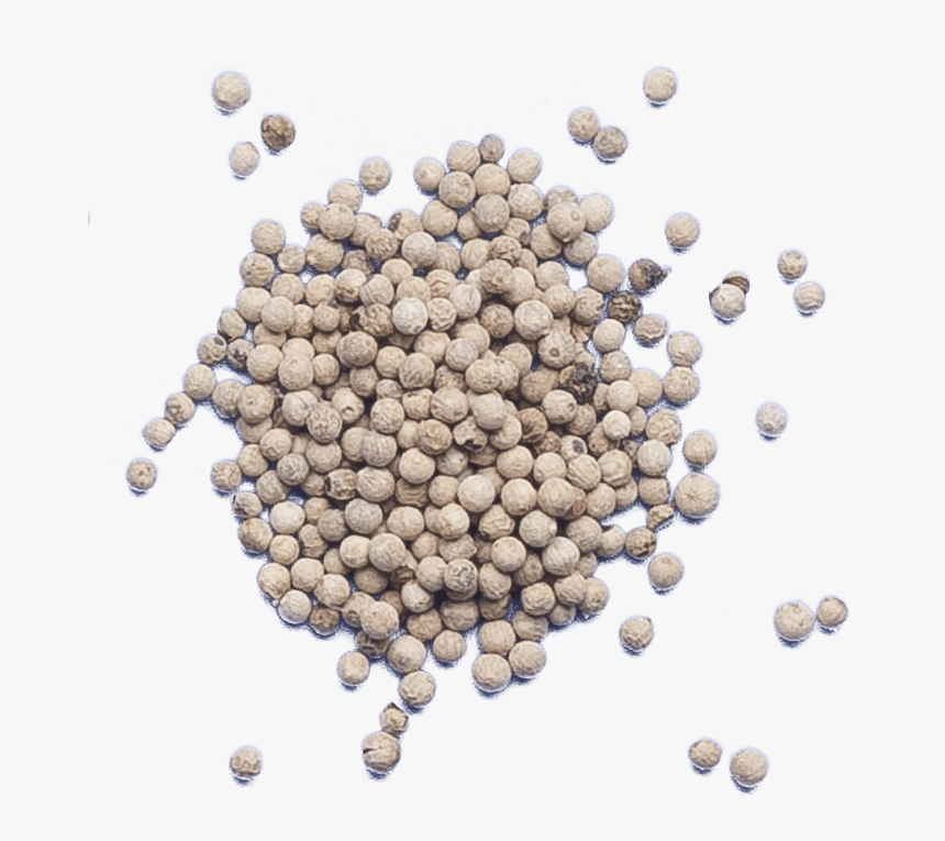 Transparent White Pepper Png, Png Download