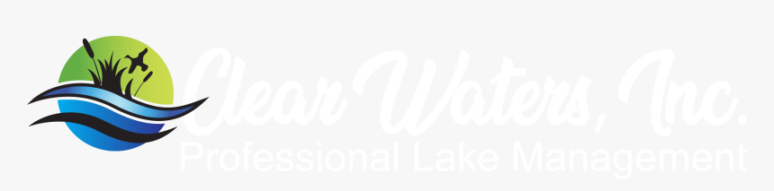 Calligraphy, HD Png Download