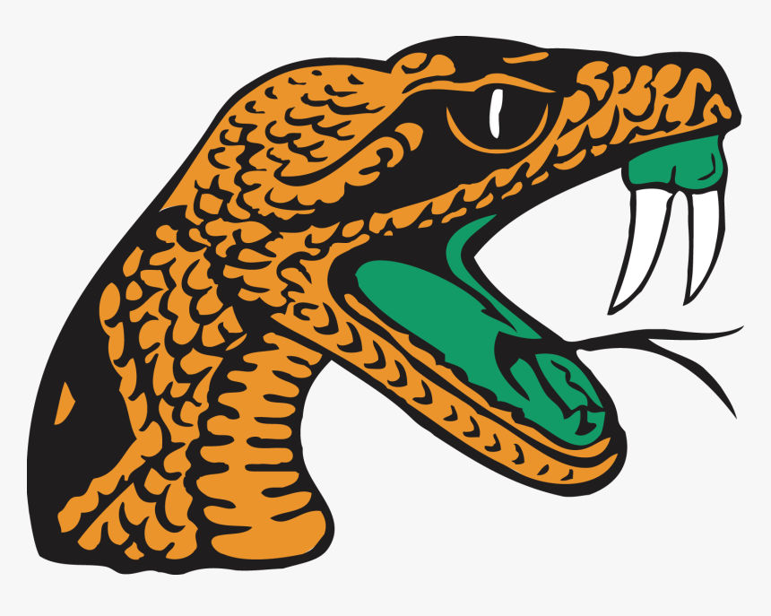 Florida A&m University, HD Png Download
