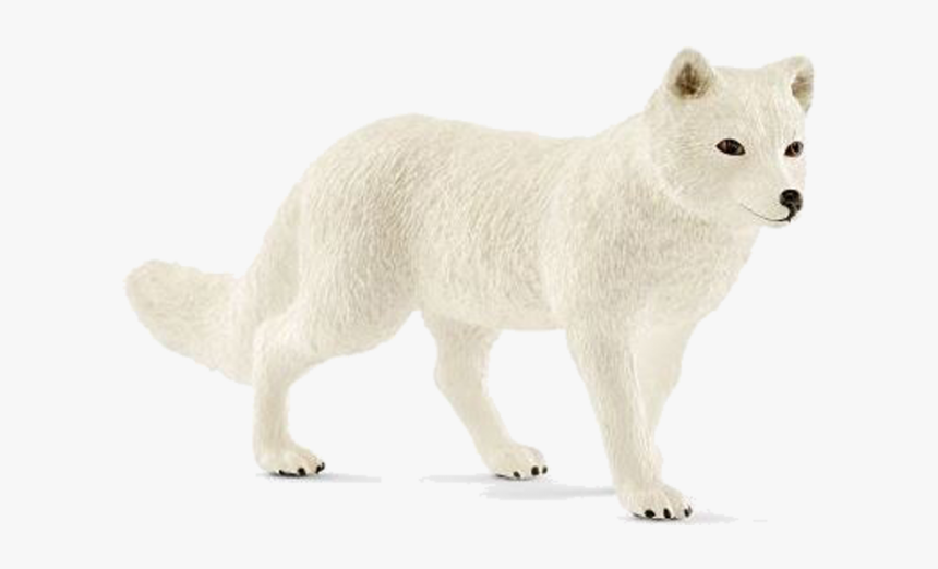 Arctic Fox, HD Png Download