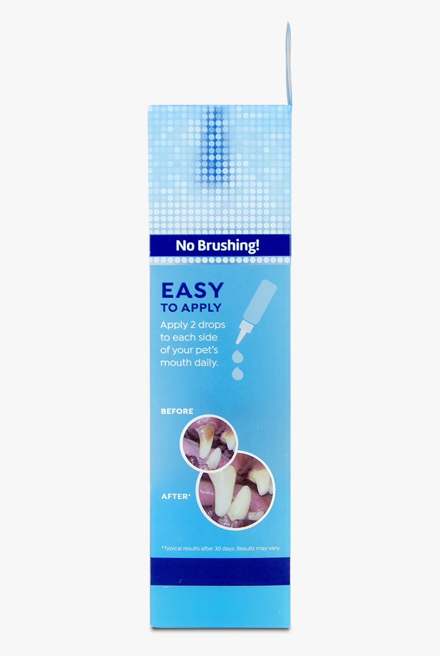 Puppy, HD Png Download