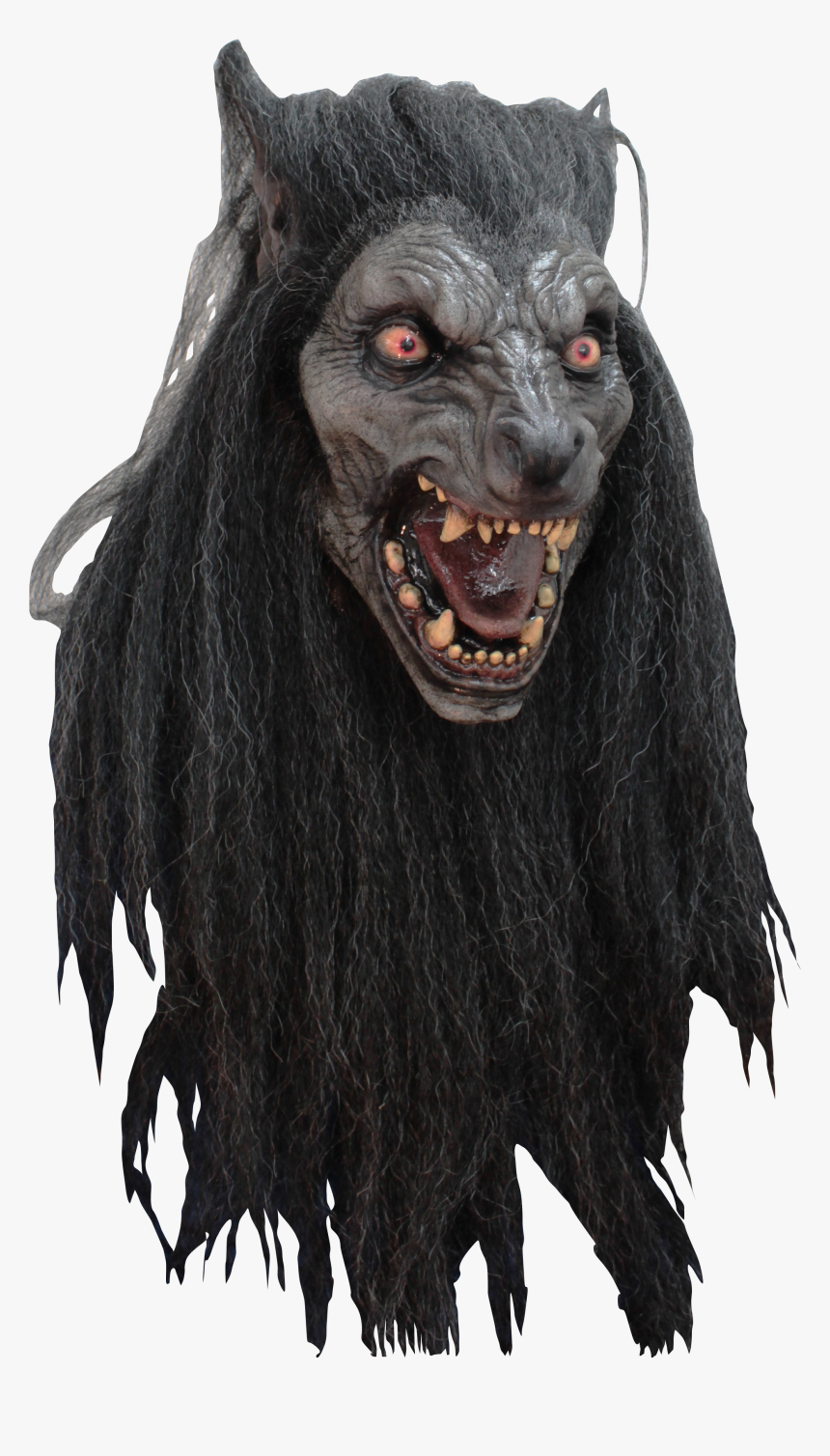 26594, HD Png Download