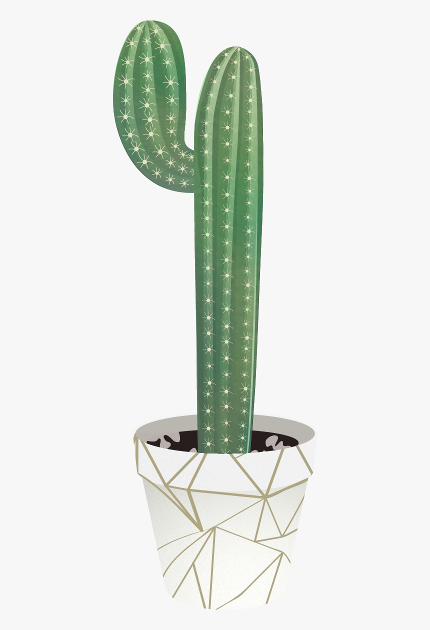 Transparent Cactus Vector Png - San Pedro Cactus, Png Download