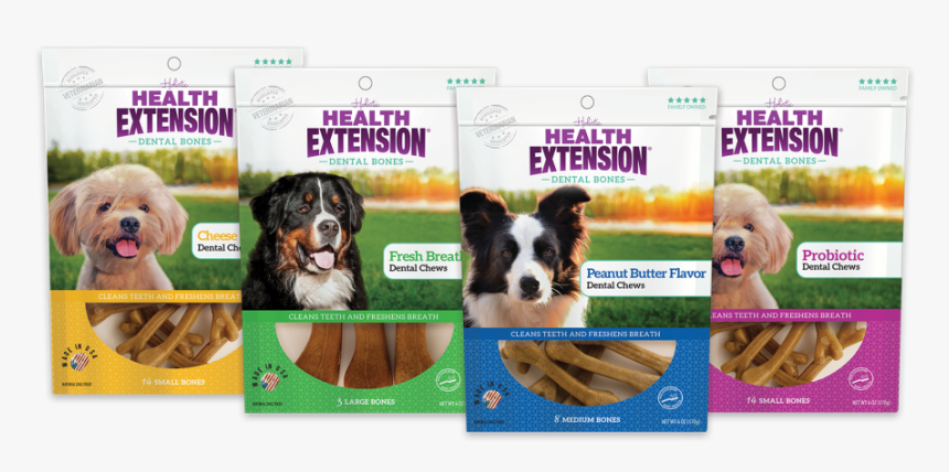 Health Extension Dental Bones, HD Png Download