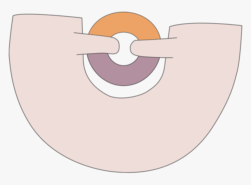 Circle, HD Png Download