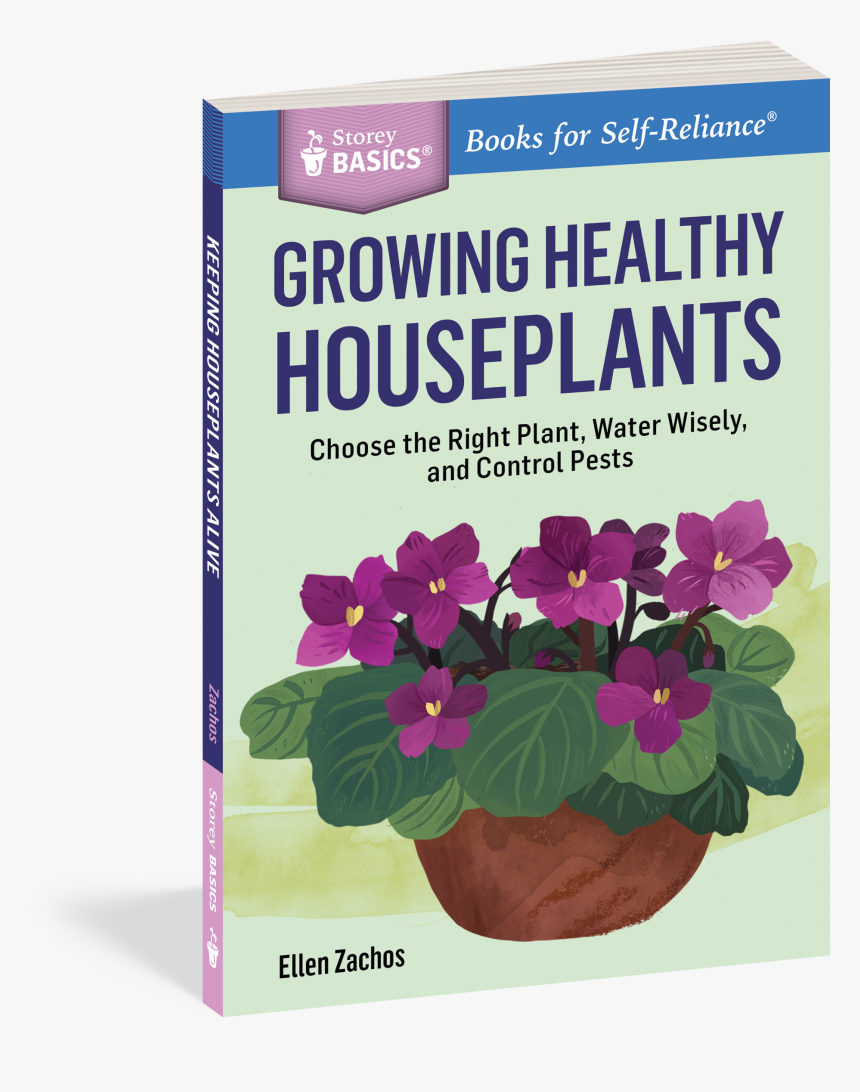 Cover - African Violets, HD Png Download