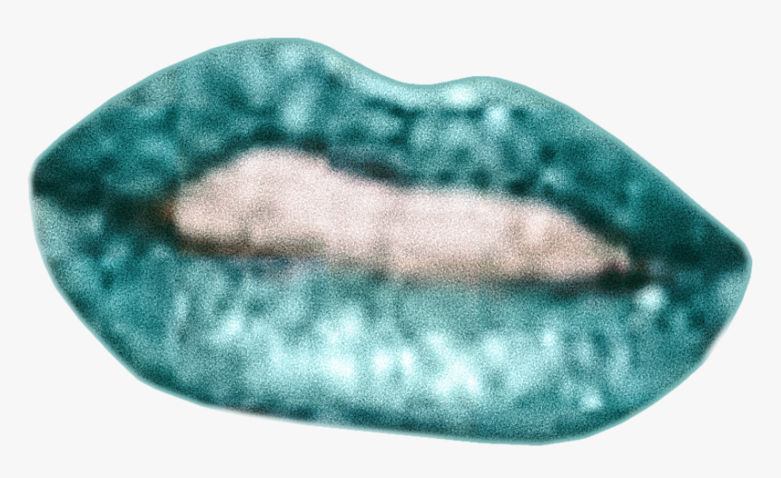 Transparent Pitbull Singer Png - Flatworm, Png Download