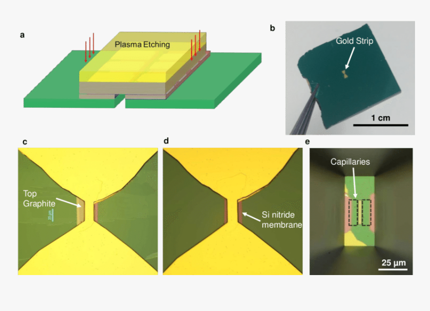 Floor, HD Png Download