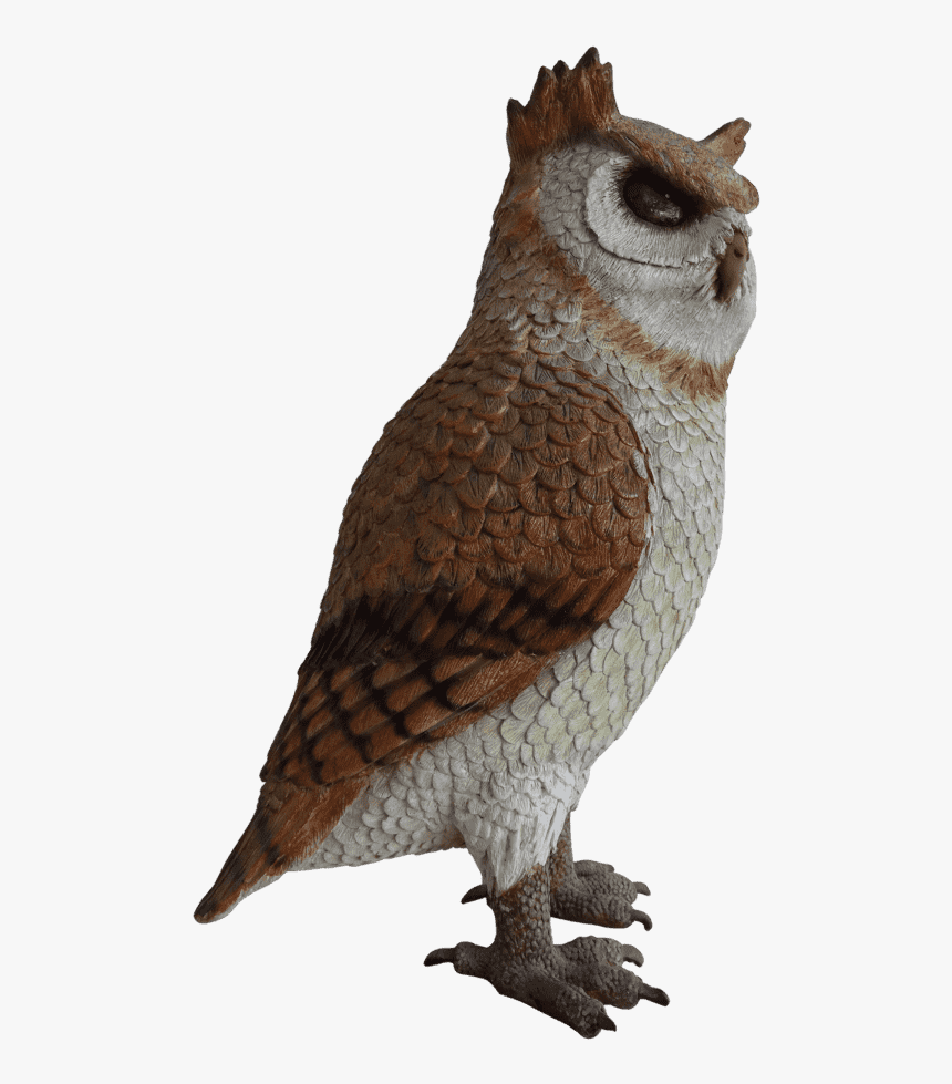 Transparent Great Horned Owl Png - Great Horned Owl, Png Download