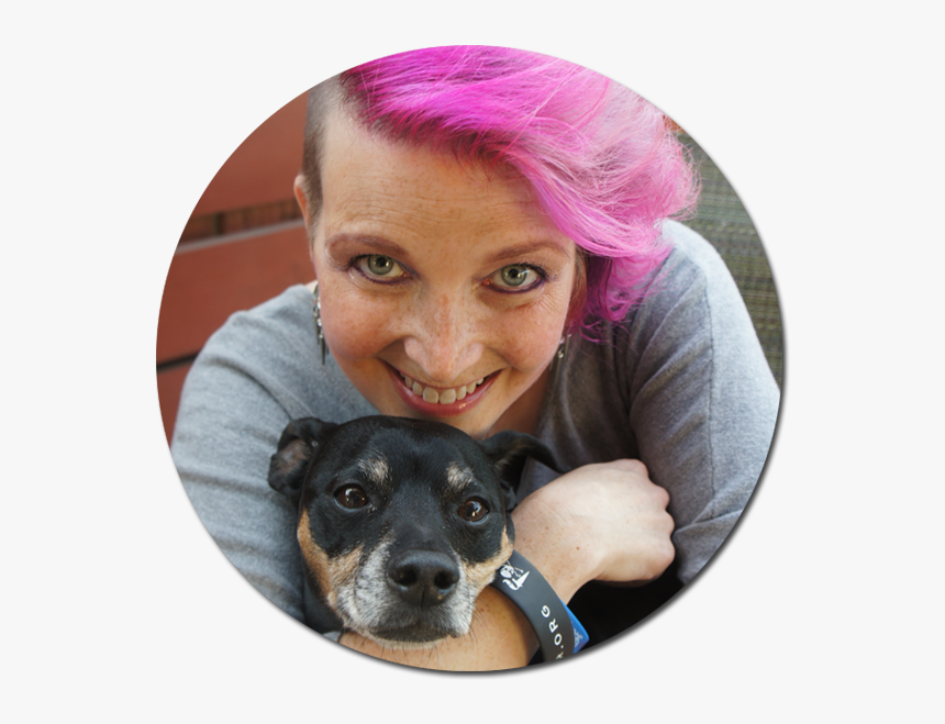 Companion Dog, HD Png Download