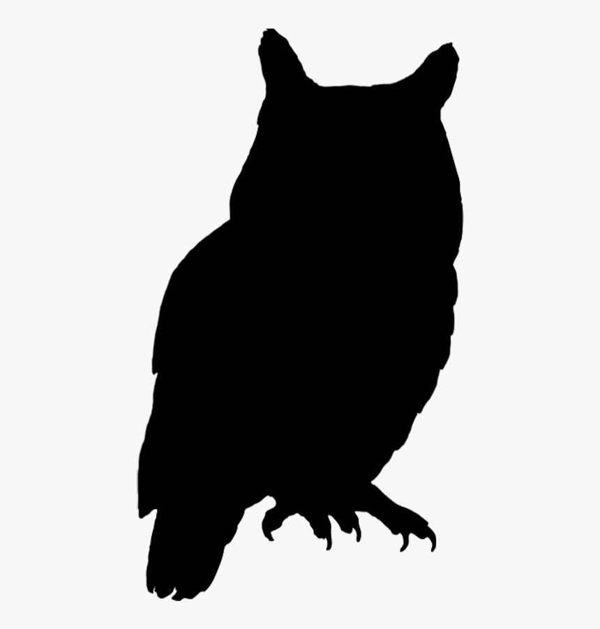 Owl Bird Silhouette Clip Art - Silhouette Of Owl, HD Png Download