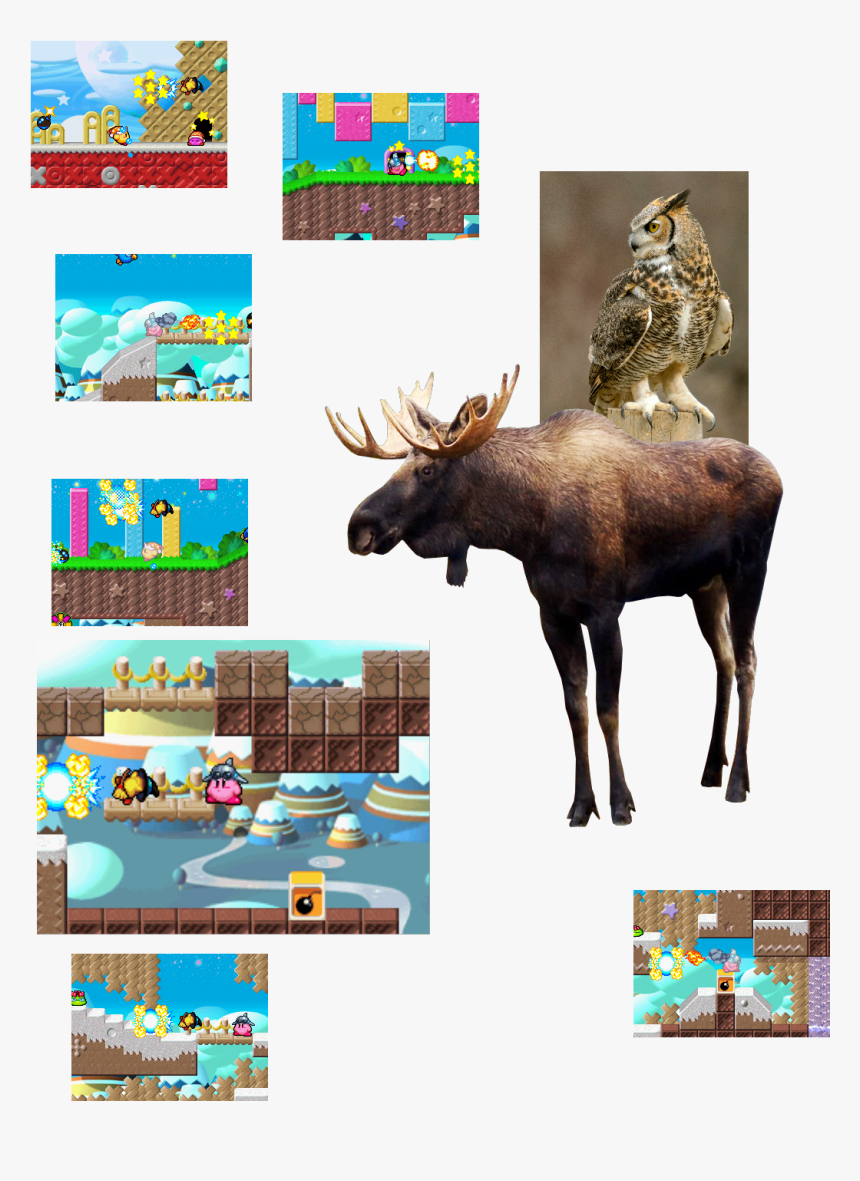 Moose, Great Horned Owl, Animals Get Born Again By - Moose Transparent, HD Png Download