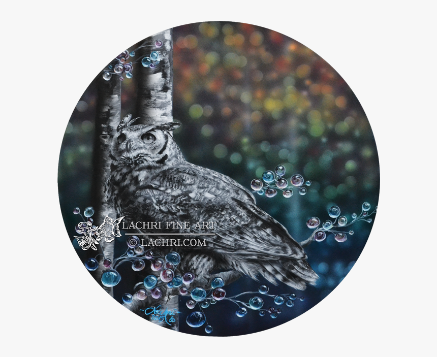 Lachri Fine Art Owl, HD Png Download