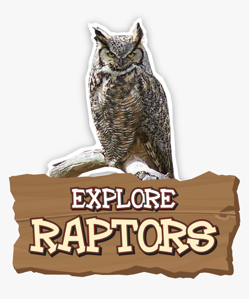 Great Horned Owl, HD Png Download