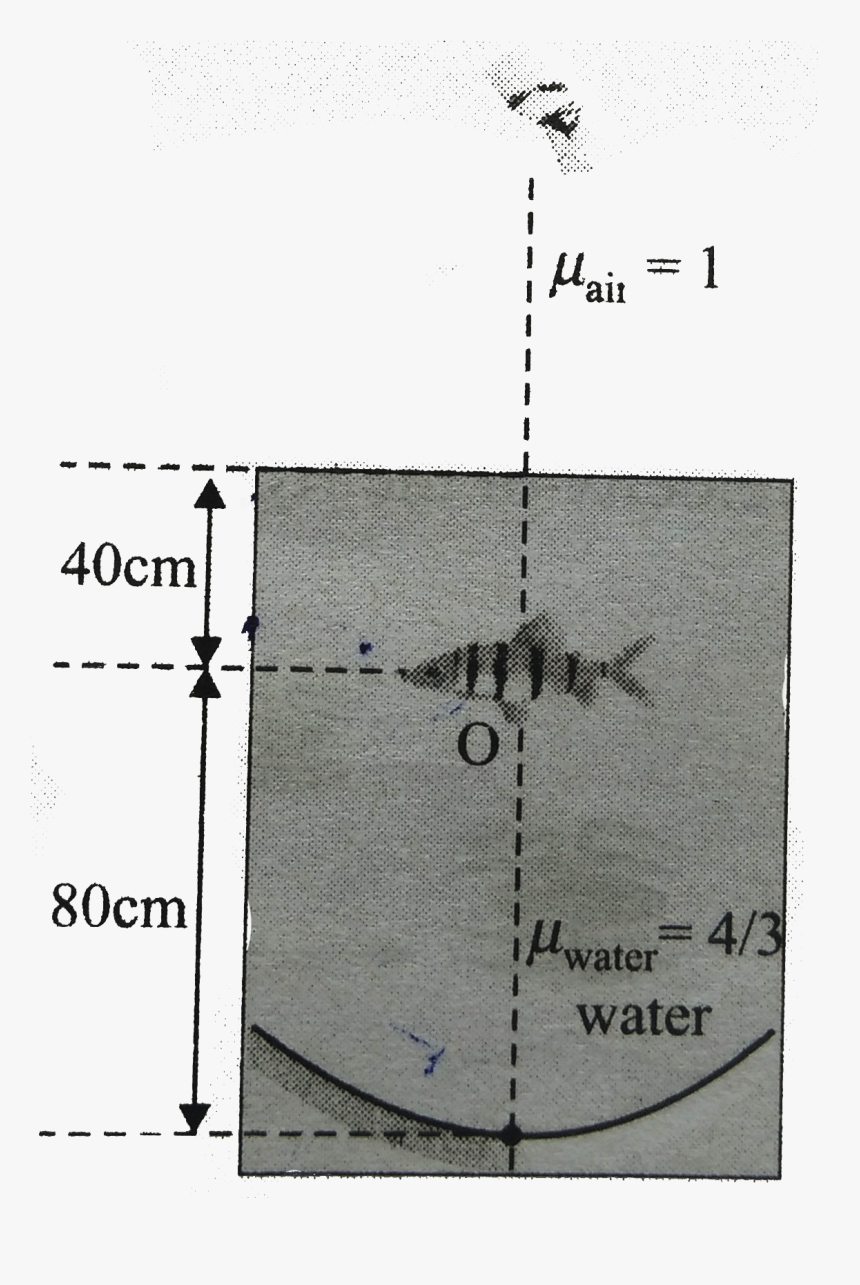 Diagram, HD Png Download