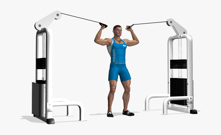 Biceps Png -the Overhead Cable Curl Is Useful To Train - Bicipiti Ai Cavi Alti, Transparent Png