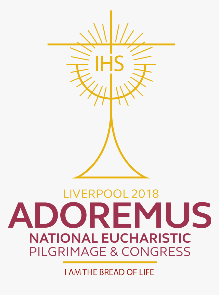 Multi Onseethrough - Adobe Cs5, HD Png Download