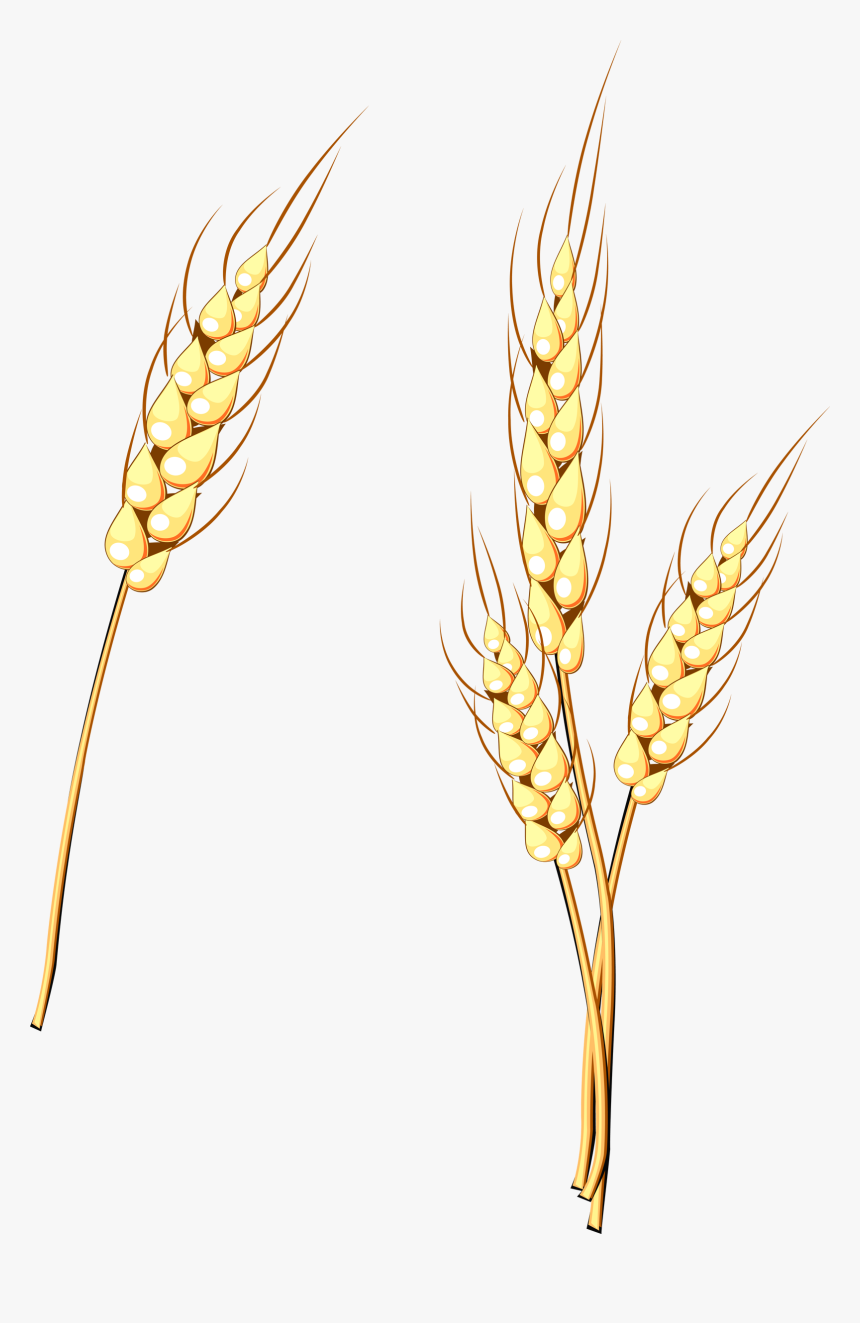 725 - Illustration, HD Png Download