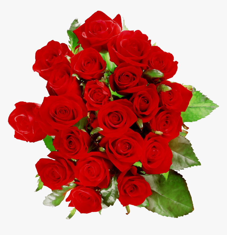 8dx Wa16 Quirkeee Roses Floribunda Cafe Garden Clipart - Криштиану Роналду Поздравляет, HD Png Download