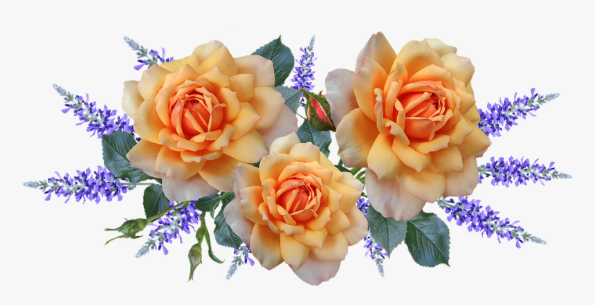 Flowers, Roses, Arrangement, Perfume, Garden, Nature - Garden Roses, HD Png Download