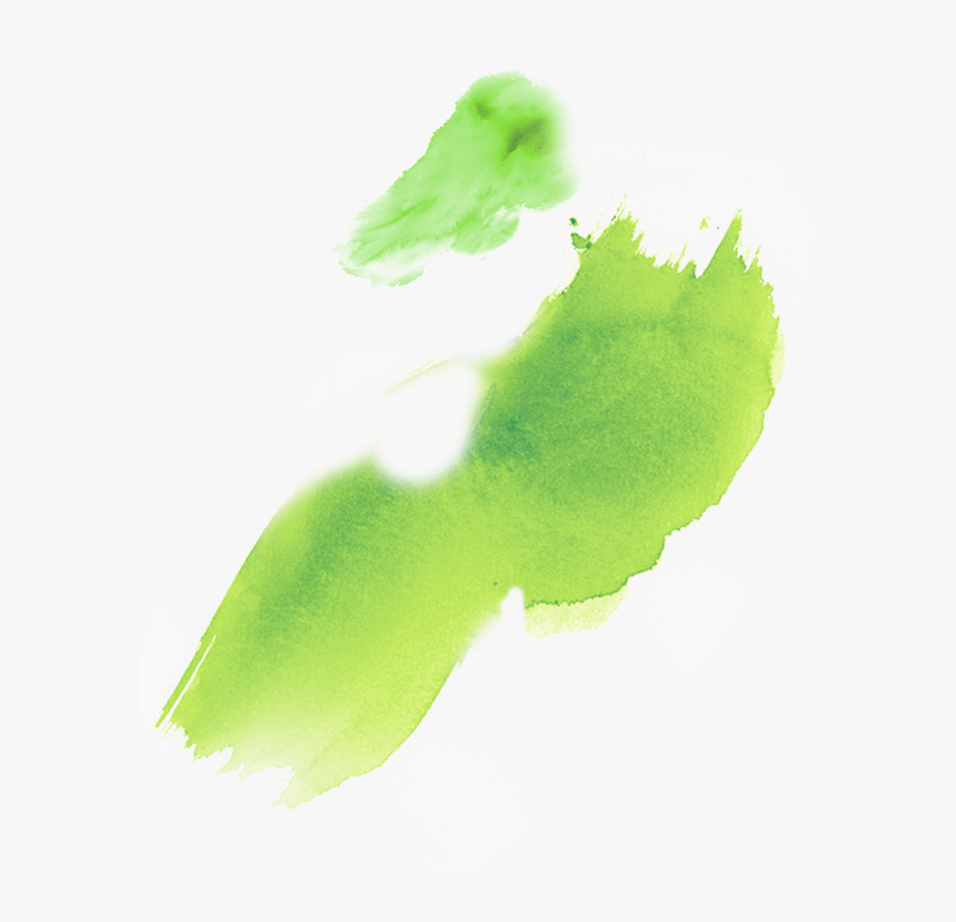 Prized Across Generations In South Africa For Its Powerful - Illustration, HD Png Download