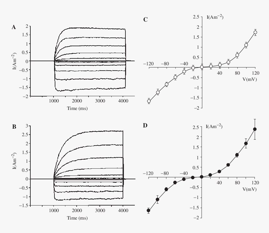 Diagram, HD Png Download