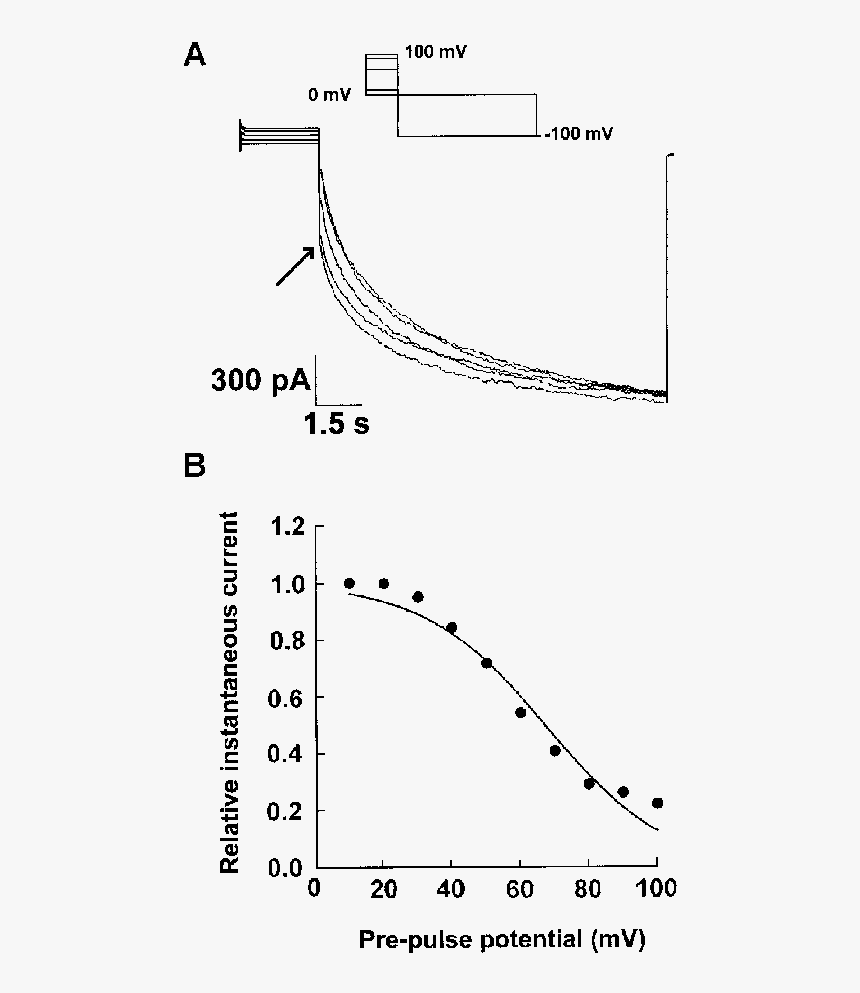 Plot, HD Png Download