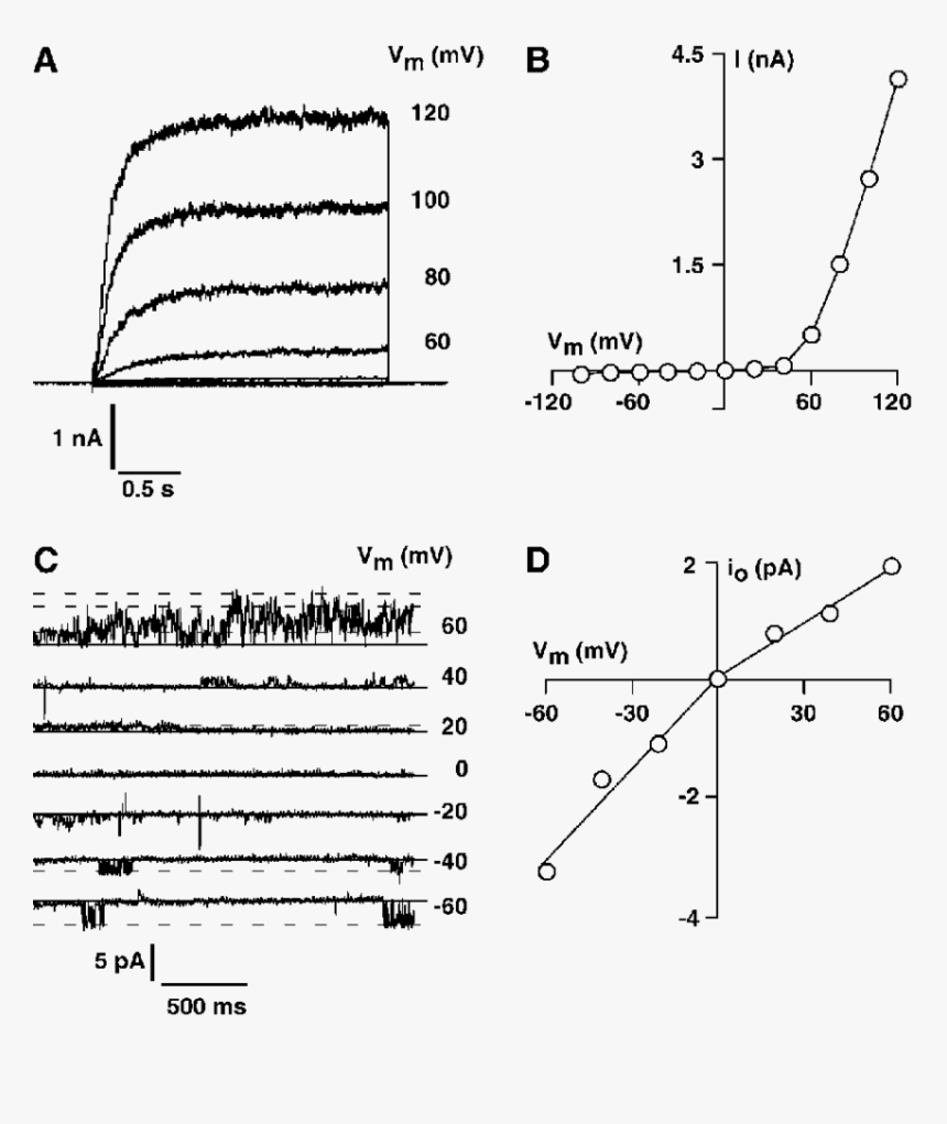 Diagram, HD Png Download