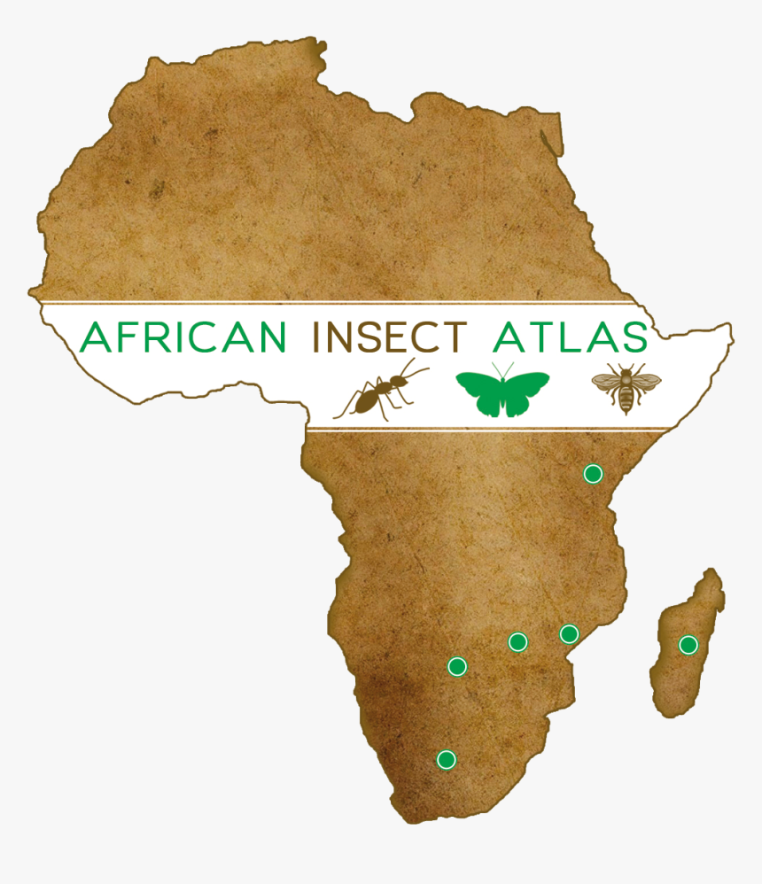 Africa Map Png, Transparent Png