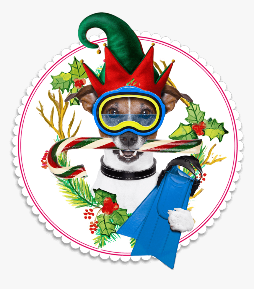 Hatfield Mccoy Christmas Disaster Dinner Feud Show - Dog, HD Png Download