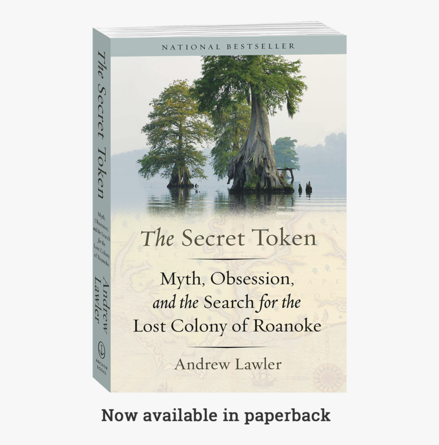 Swamp Cypress Trees Nc, HD Png Download