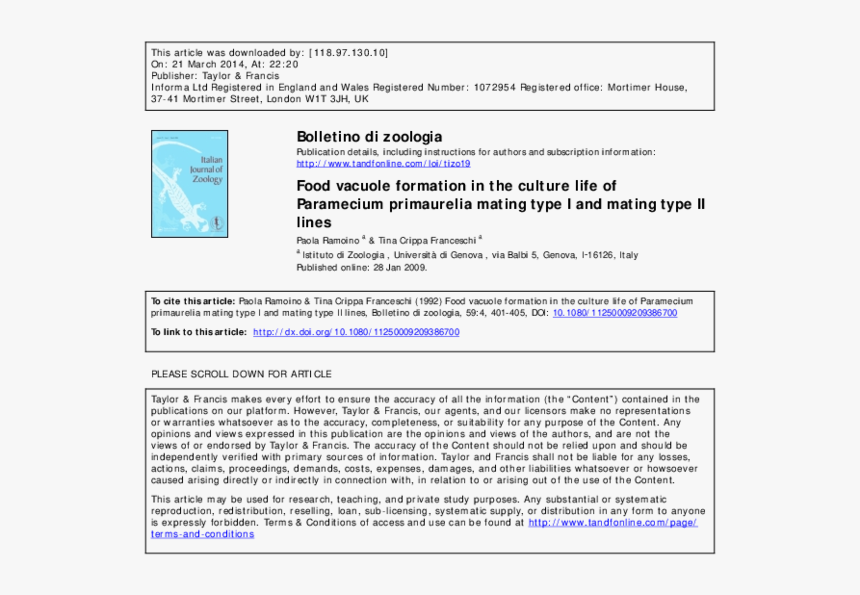 Screenshot, HD Png Download