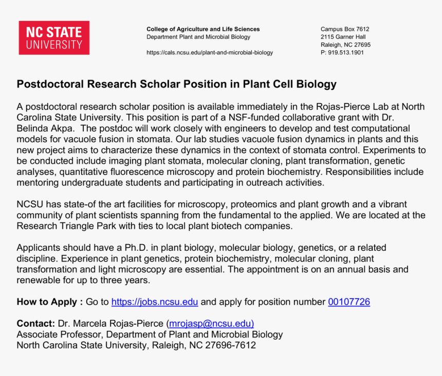 North Carolina State University, HD Png Download