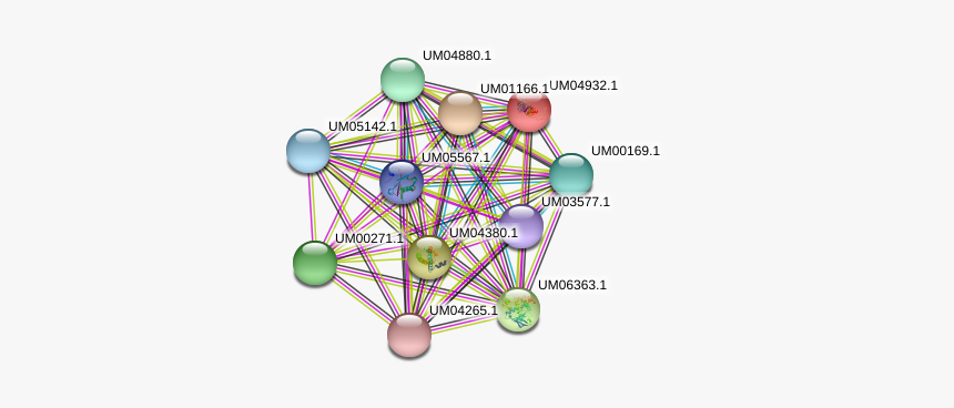 1 Protein - Circle, HD Png Download