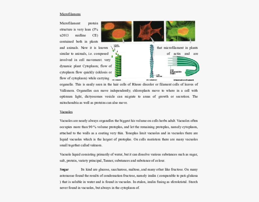 Document, HD Png Download