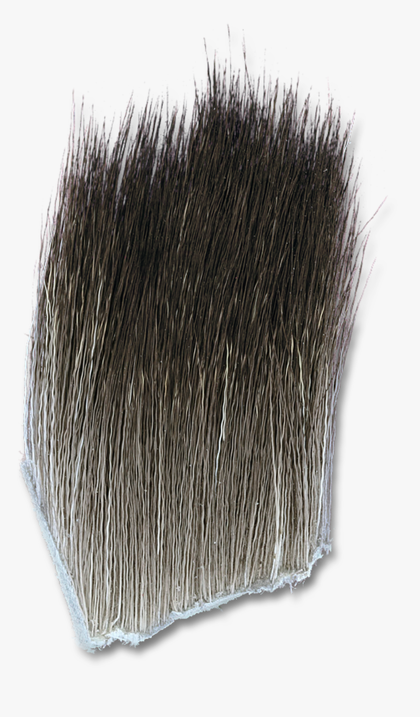 șterge Obligatoriu Serie de timp body hair png Descriere Ipoteze