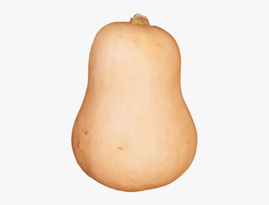 Thumb Image - Butternut Squash Png, Transparent Png