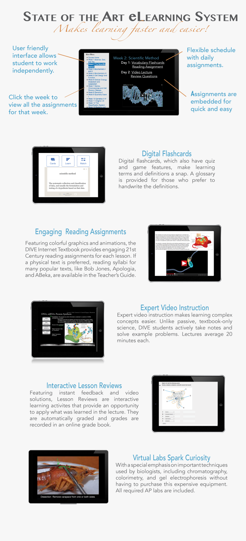 Web Page, HD Png Download